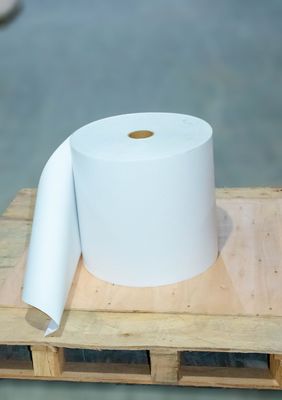 Scratch Resistant Thermal Paper Jumbo Roll High Viscosity Stong Sticky Back Type