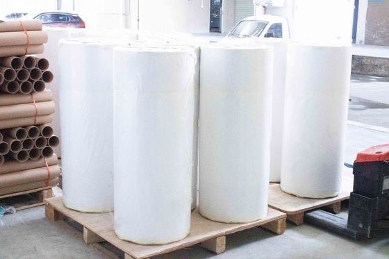 Ordinary Sticky  Coated Paper Roll  Label 80g Surface Thickness