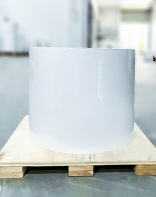Normal Sticky Clear BOPP Roll Label , Oil Glue Adhesive Backed Kraft Paper