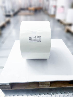 Transparent BOPP Roll Label Materials Scratch Resistant  Acrylic Adhesive Glue