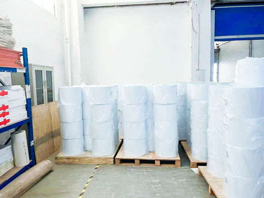 Ordinary Sticky  Coated Paper Roll  Label 80g Surface Thickness