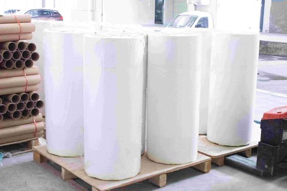 Transparent PET Removable Glue Self Adhesive Label Materials Roll Normal Sticky