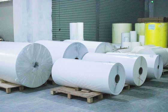 Synthetic Label Material 54u Surface Thickness