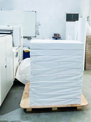 Oil Glue Type Synthetic Sticker Label , Simple Sticky Adhesive Label Roll