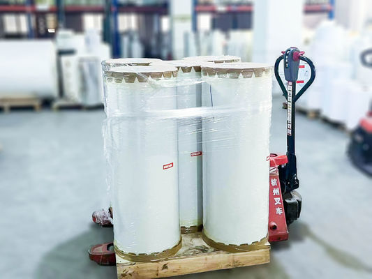 Oil Glue Type Synthetic Sticker Label , Simple Sticky Adhesive Label Roll