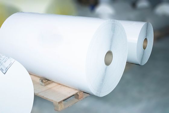 Self Adhesive Thermal Label Jumbo Roll , Sticky Back Paper 54u Surface Thickness
