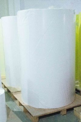 Self Adhesive Thermal Label Jumbo Roll , Sticky Back Paper 54u Surface Thickness