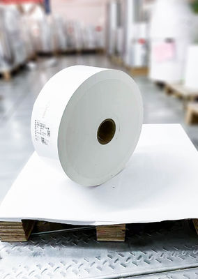 Waterproof Jumbo Writing Paper Roll , Glossy  Paper Roll For Writing