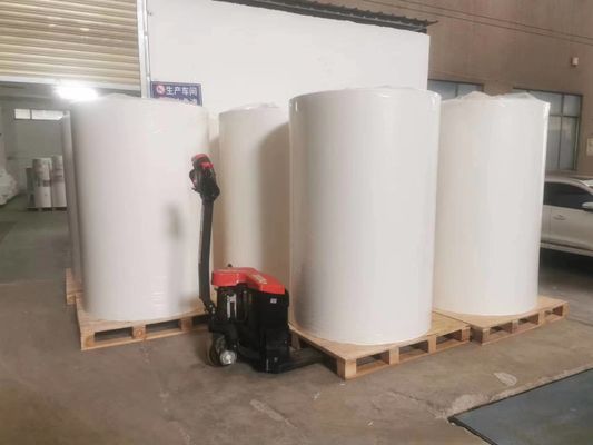 80±5% Liner Weight 70±5% Liner Thickness Label Material for Printing on Coated Paper