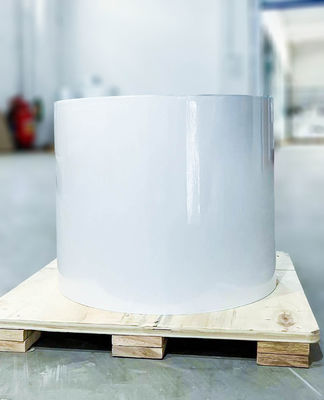 Good price Tire Glue Type Adhesive PE Label Material Roll 80u Face Thickness online