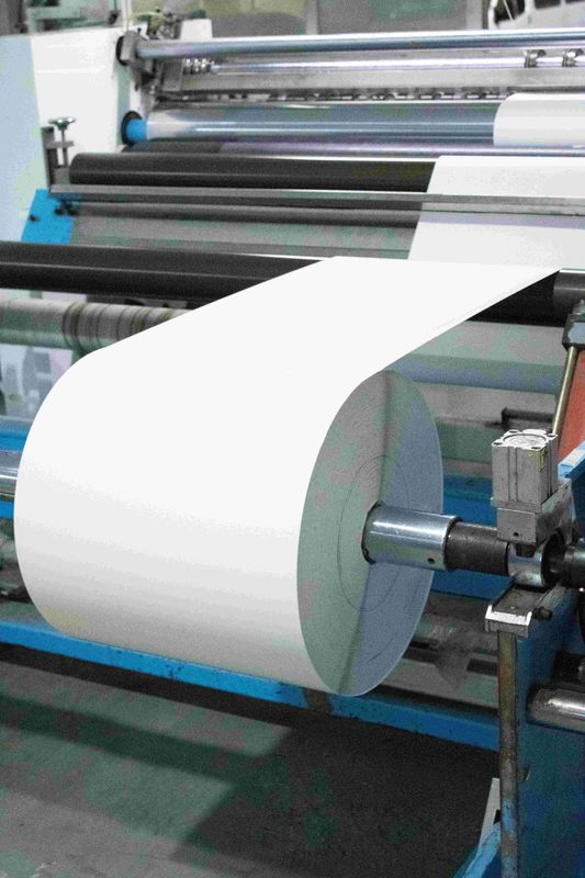 Oil Glue Type Coated Paper Roll Ordinary Sticky   Waterproof