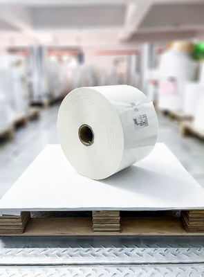 Good price Oil Glue BOPP Roll Label , Label Adhesive Paper 50u Face Thickness online